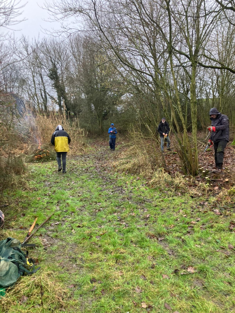 A group of people walking through a forest

AI-generated content may be incorrect.